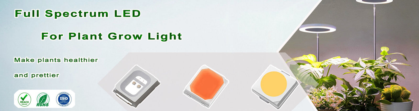 Δυοχρωματικό SMD LED