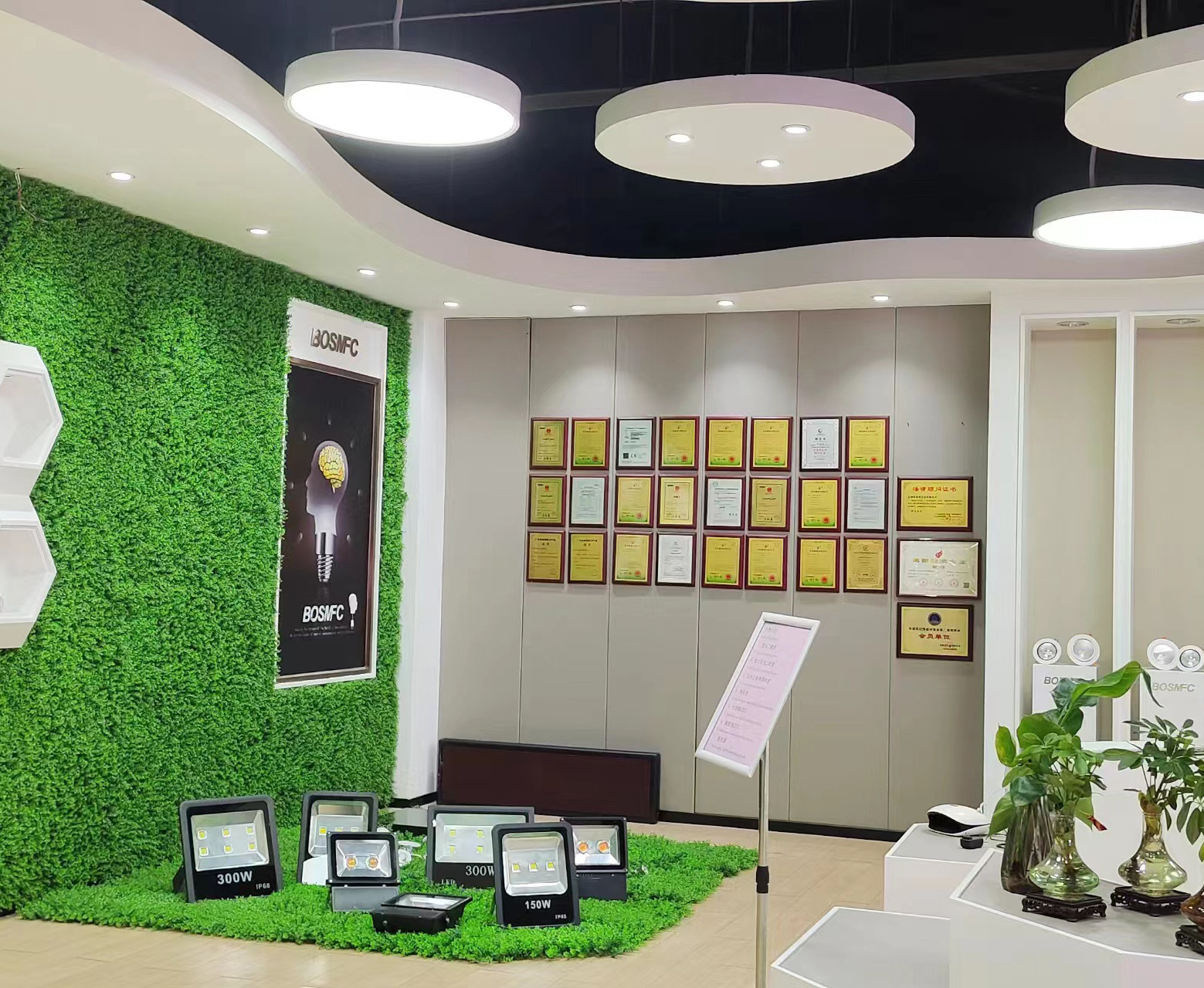 Κίνα Dongguan Lanjin Optoelectronics Co., Ltd. Εταιρικό Προφίλ