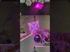 2835 SMD LED PCB πλήρους φάσματος COB Για φυτικά LED Grow Light