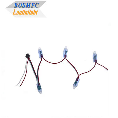 RGB Full Color Pixel Αδιάβροχο WS2811 Pixels Ψηφιακά διευκρινίσιμα LED Globe String Lights 12mm DC 5V