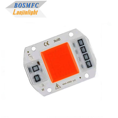 Πρακτικό πλήρες φάσμα COB LED Chip 50W 100W για εσωτερικό φυτό φως